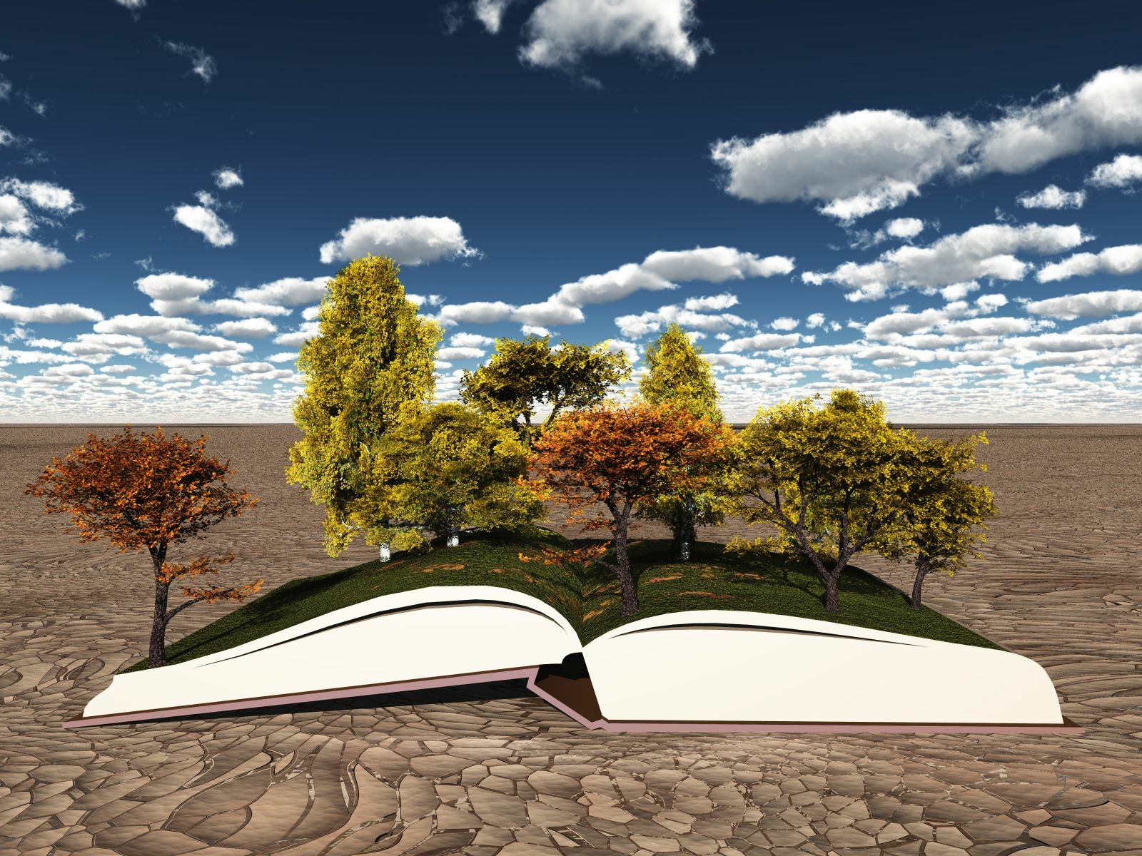livre paysage
